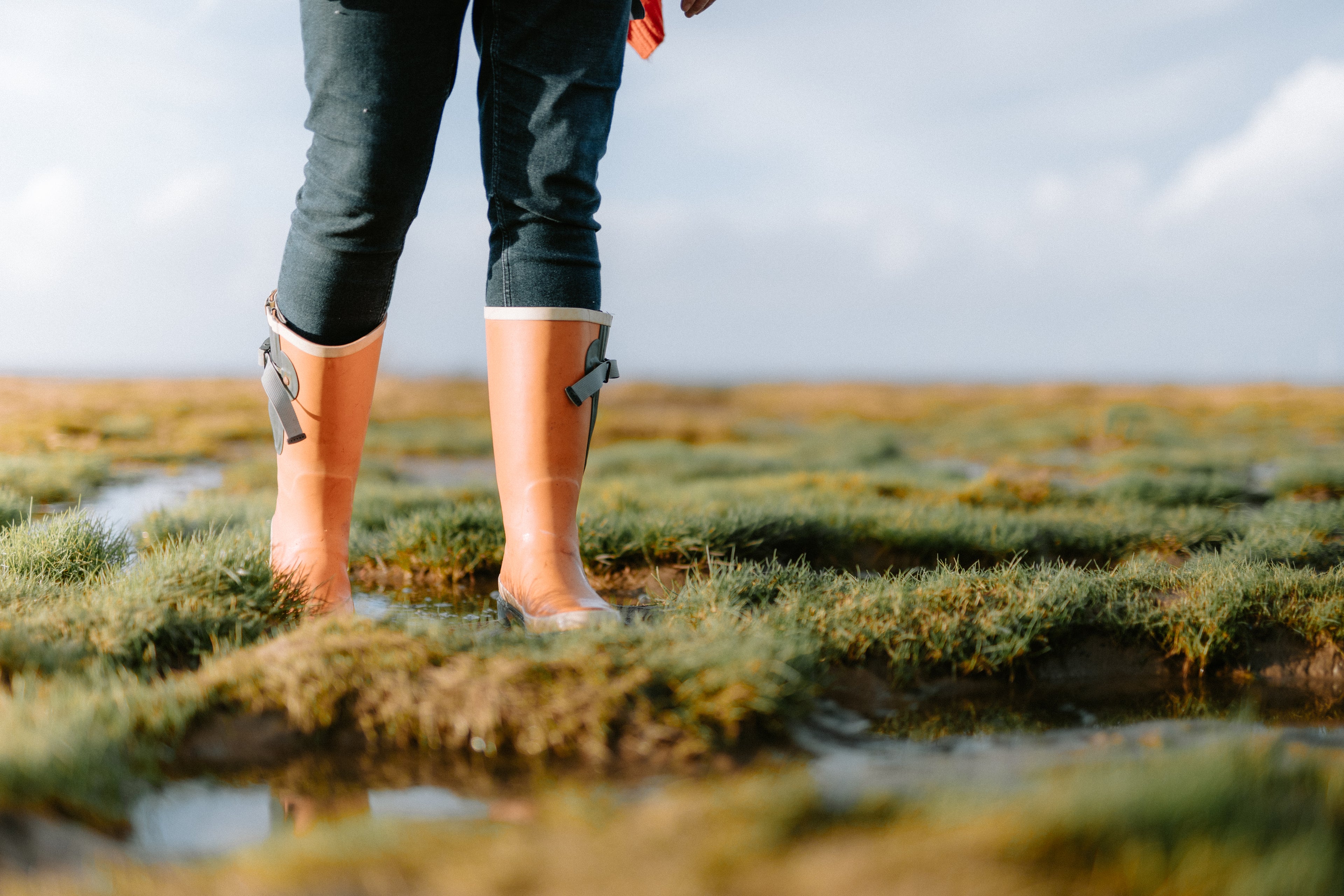 the wide welly company