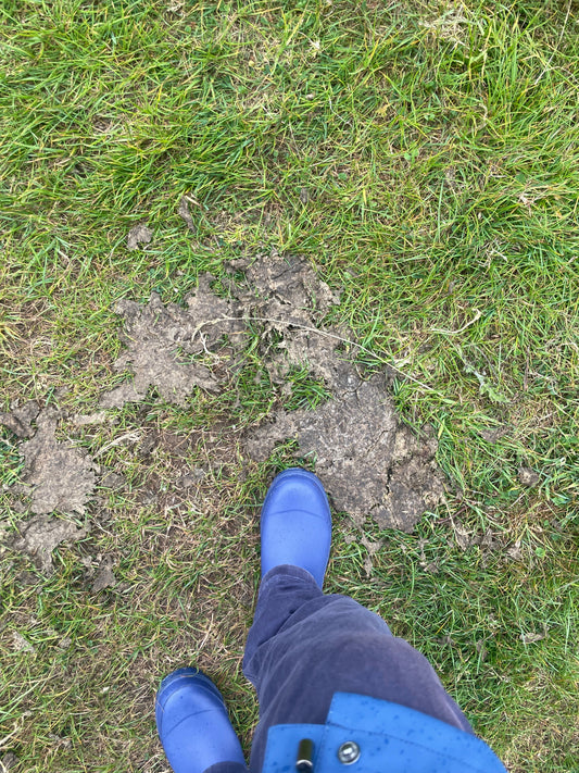 Why the Ankle Welly Was Born (and Why the Calfly Endowed Amongst us Might Have Helped!)