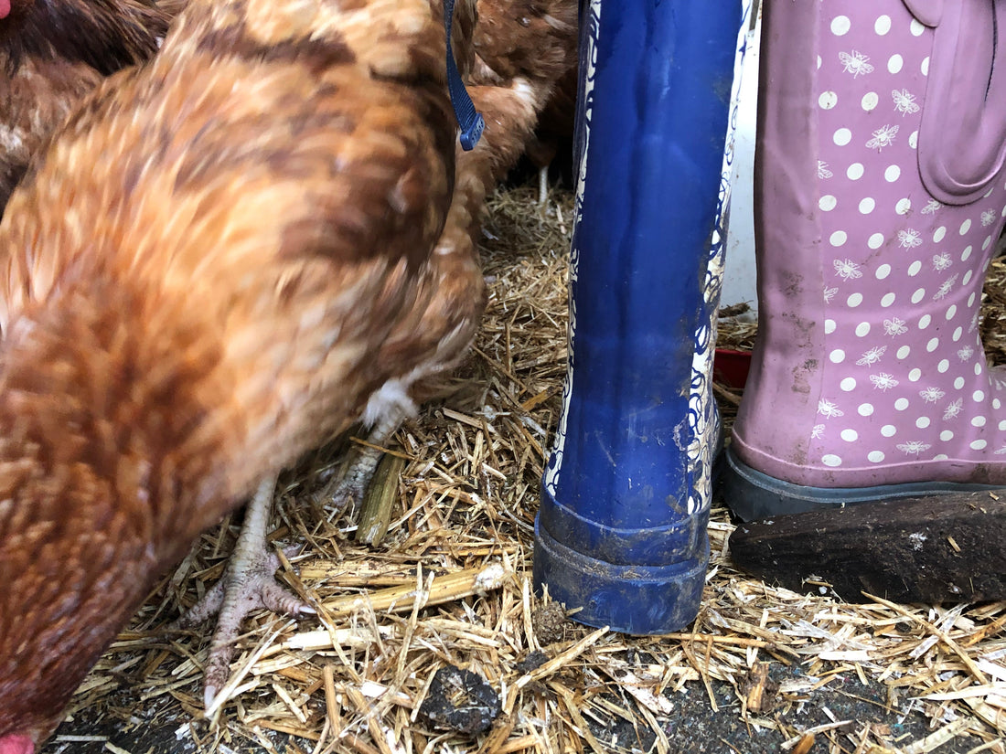 Why don’t wellies last forever?